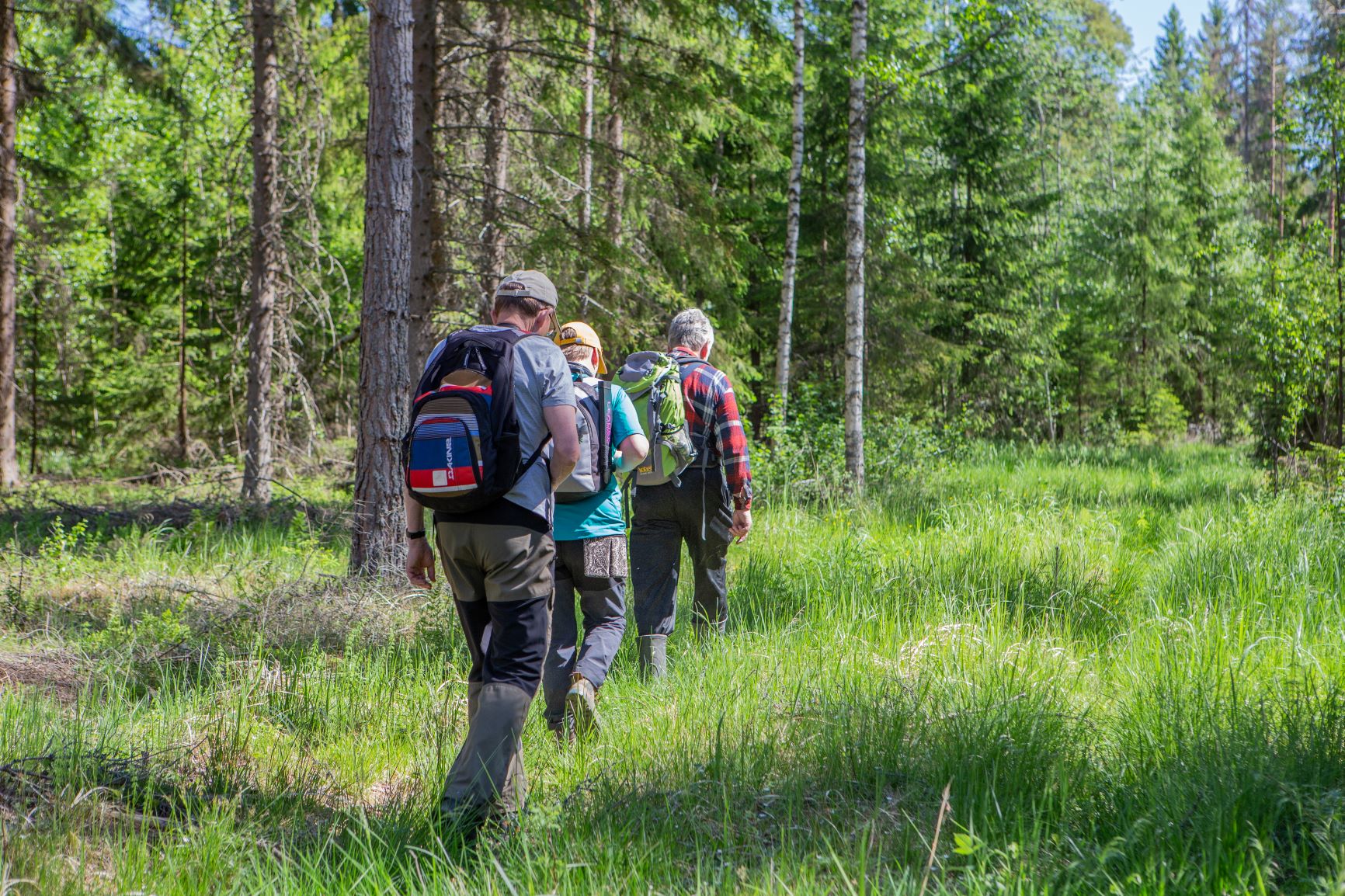 vaeltajat metsässä